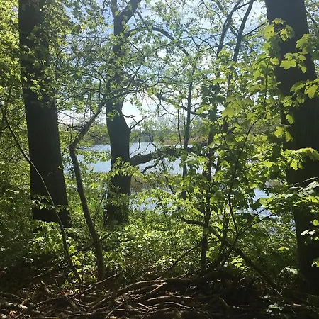 The Doll House - Adults Only *